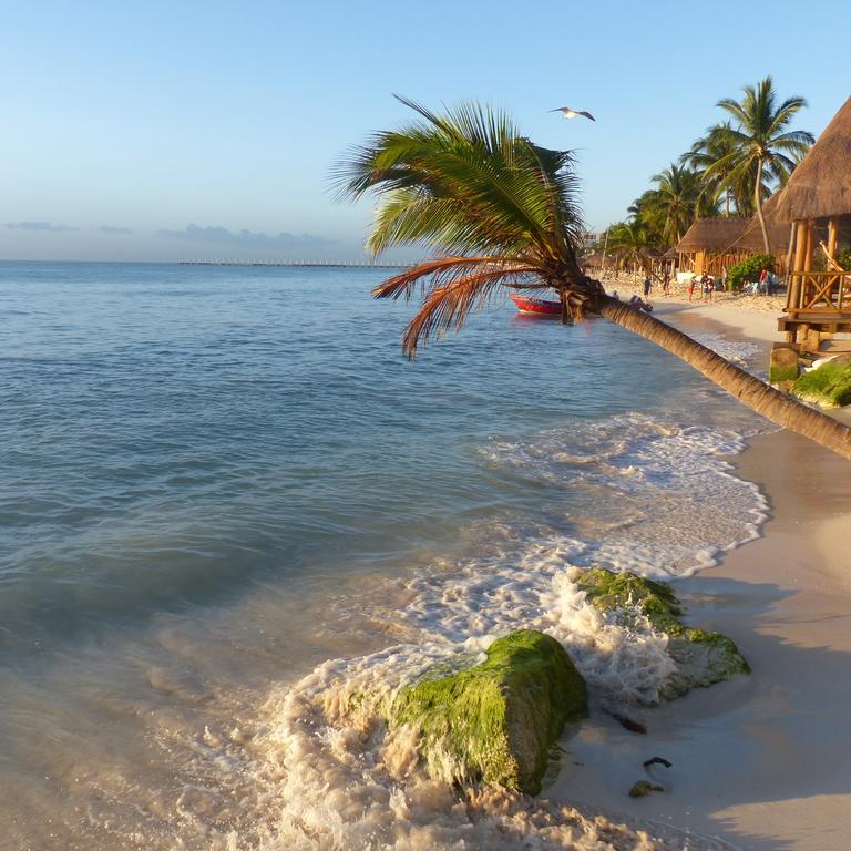 Lilas Del Mar Apartments Плая-дель-Кармен Экстерьер фото